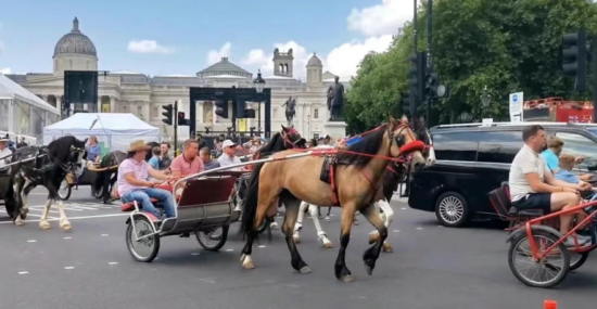 点击查看原图 2.png