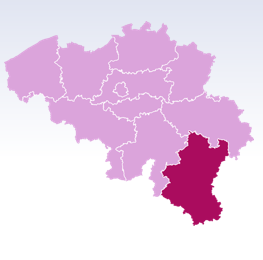 瓦隆非物质文化遗产介绍（之二）