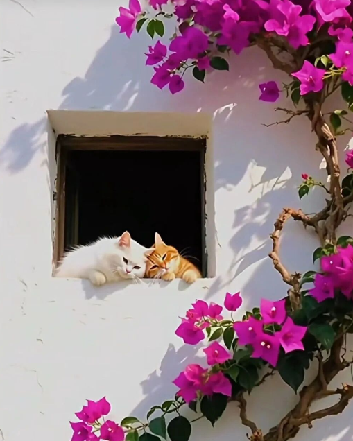 阿龙丨一个洞见，一句口号（二首）