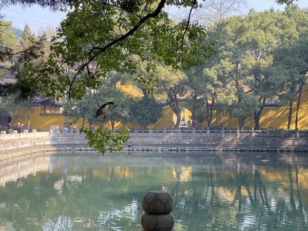 点击查看原图 34.jpg