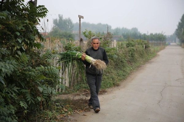 点击查看原图 22.jpg