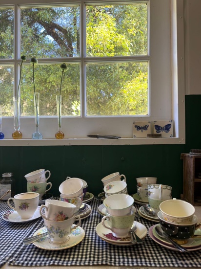 姚婉如丨热爱生活，更热爱自由的生活——维州乡村花卉农场散记