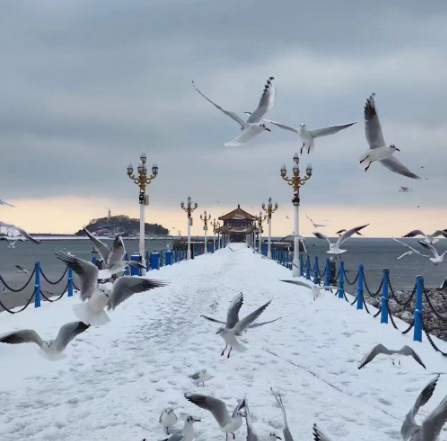 王音丨关于勤工俭学（六首）