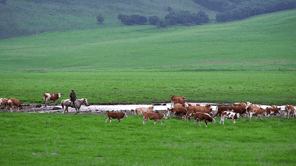 张宣丨梦游神州各地风景名胜三十六首（3）