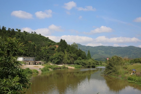 点击查看原图 16.jpg