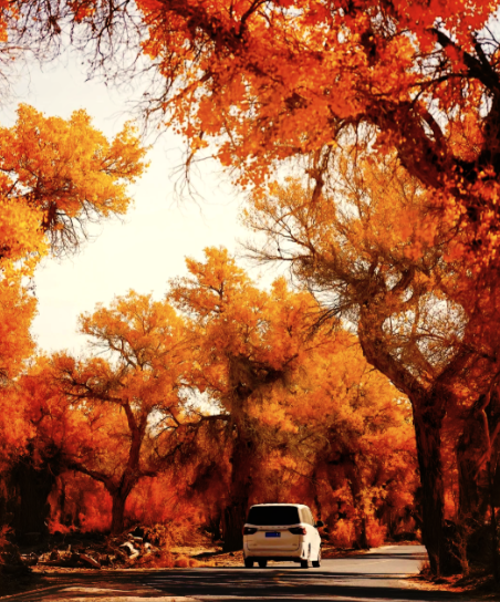 张宣丨梦游神州各地风景名胜三十六首（9）