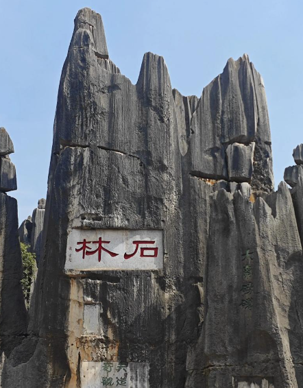 点击查看原图 石林.png