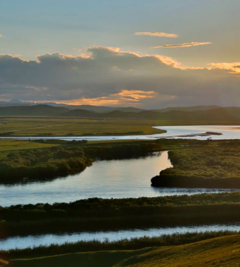 张高秋更多作品