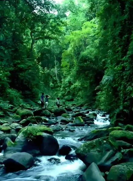 张宣丨梦游神州各地风景名胜三十六首（16）