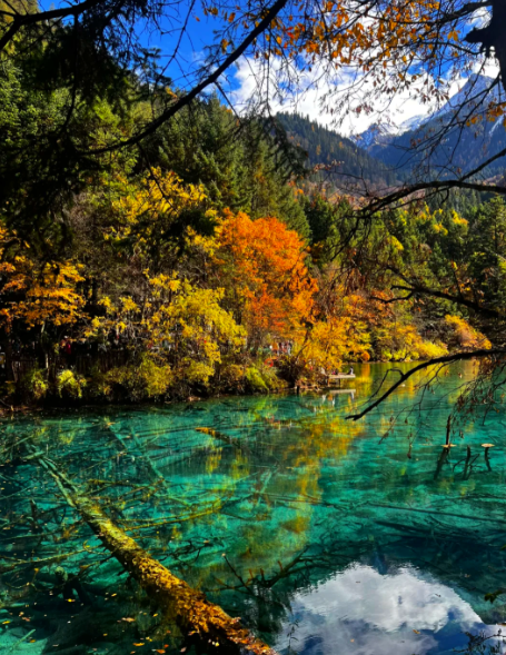 张宣丨梦游神州各地风景名胜三十六首（17）