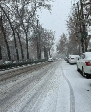 王音丨我跟苹果的缘分（六首）