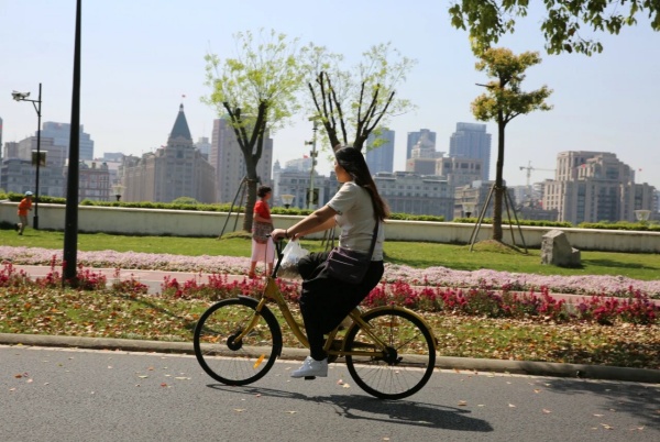 点击查看原图 24.jpg