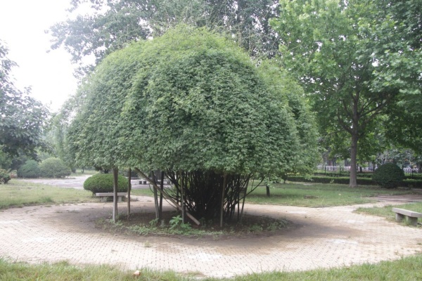 点击查看原图 20.jpg