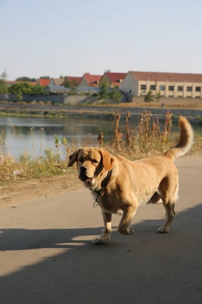 点击查看原图 25.jpg