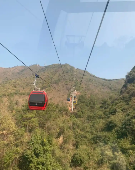 点击查看原图 QQ20260124-111952.png