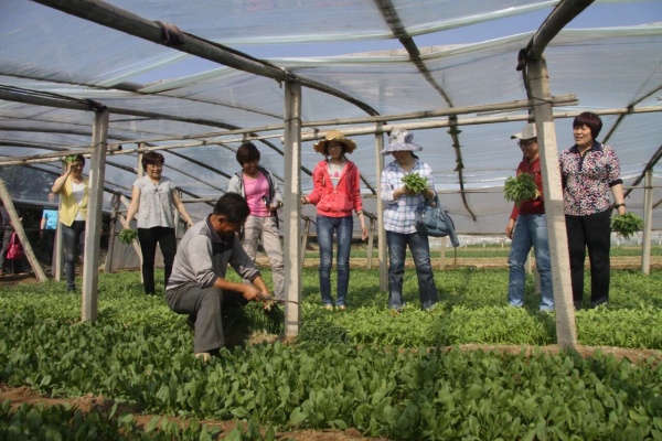 点击查看原图 15.jpg