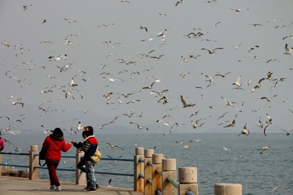 点击查看原图 27.jpg