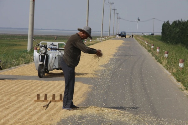 点击查看原图 29.jpg