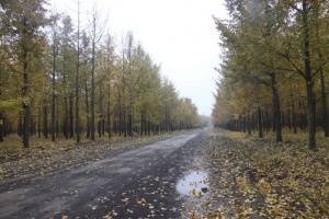 点击查看原图 30.jpg