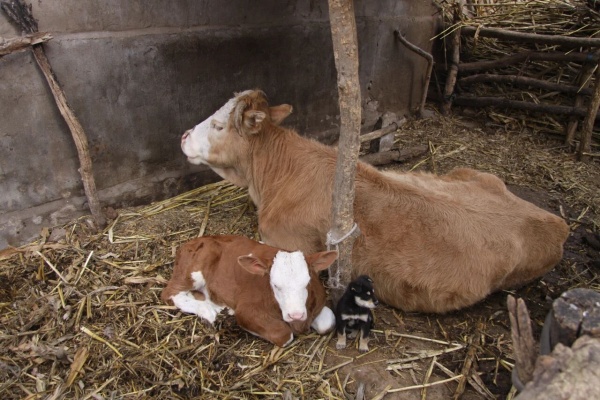 点击查看原图 14.jpg