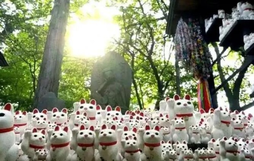 点击查看原图 2.jpg