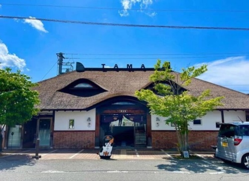 点击查看原图 6.jpg