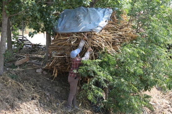 点击查看原图 85.jpg