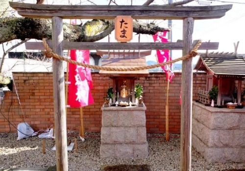 点击查看原图 11.jpg