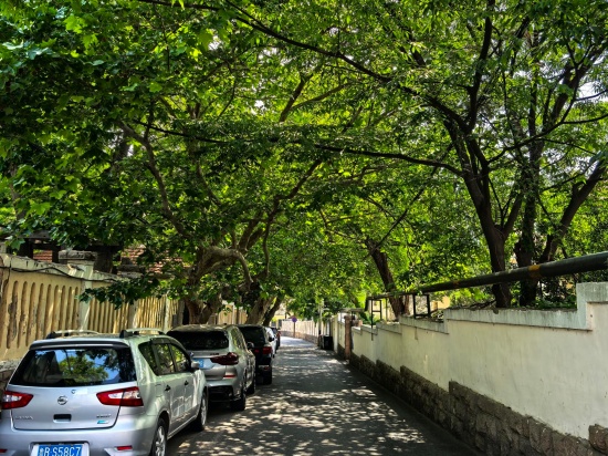 点击查看原图 17.jpg