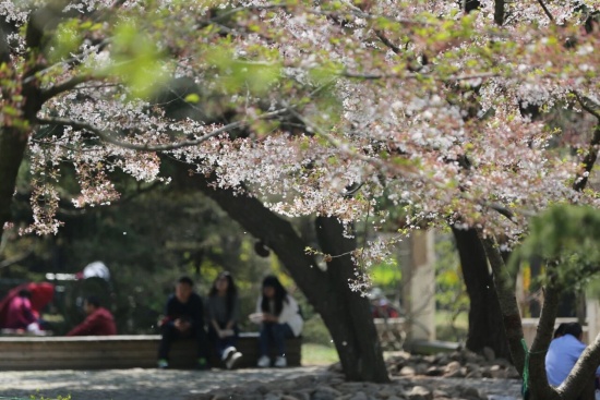 阿龙丨纪实摄影作品选（31-40）