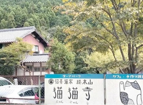 点击查看原图 3.jpg