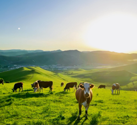 张宣丨梦游神州各地风景名胜三十六首（22）