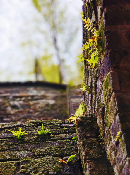 点击查看原图 QQ20260227-080947.png