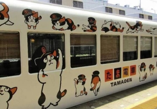 点击查看原图 8.jpg