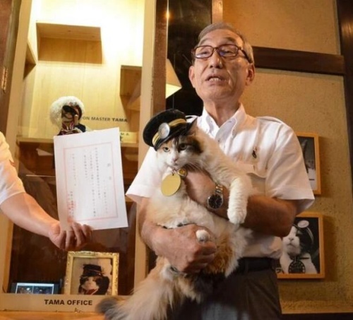 点击查看原图 12.jpg