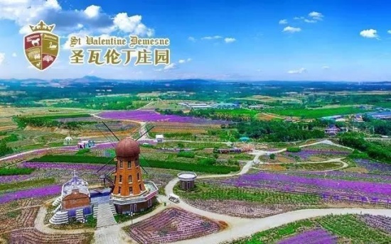 点击查看原图 12.jpg