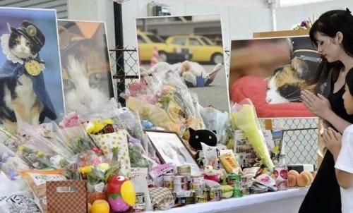 点击查看原图 10.jpg