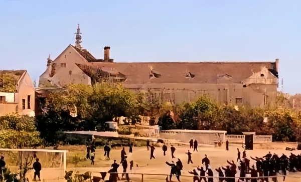 点击查看原图 4.jpg