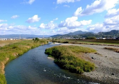 点击查看原图 14.jpg