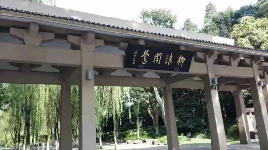 于学周丨柳浪深处游走西湖