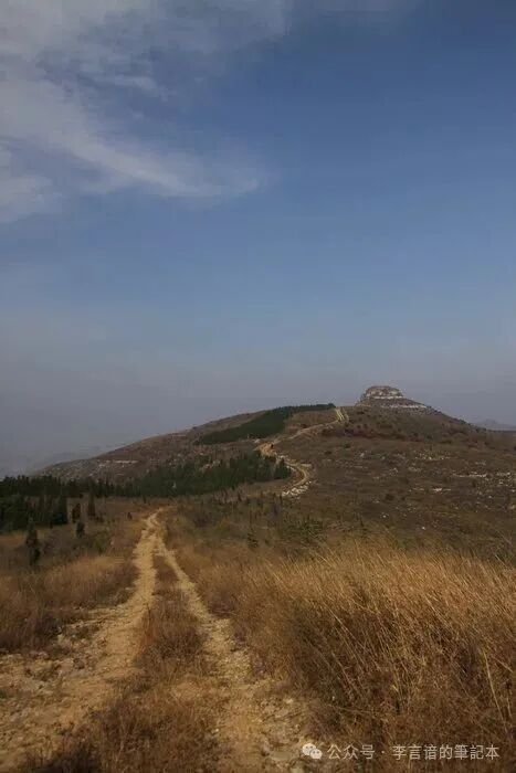 李言谙丨刊载于《星星》诗刊上的两首诗