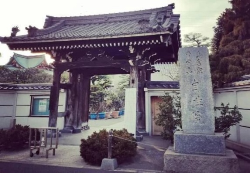 任知丨猫站长的传奇故事，为车站招财千万利润