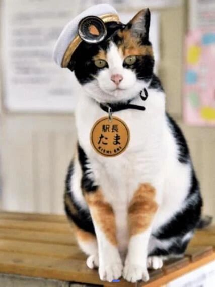 点击查看原图 7.jpg