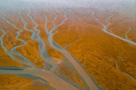 张弘丨短箫与长笛（12）