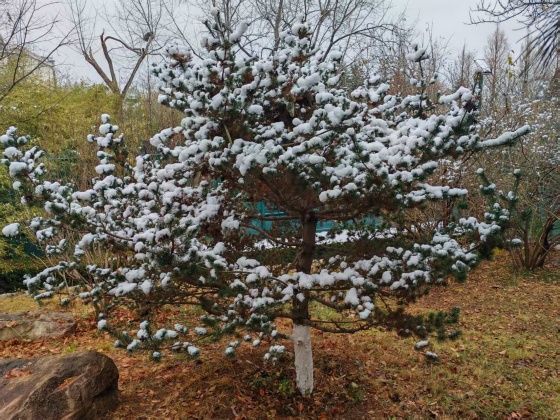 点击查看原图 微信图片_20260318144405_58_111.jpg