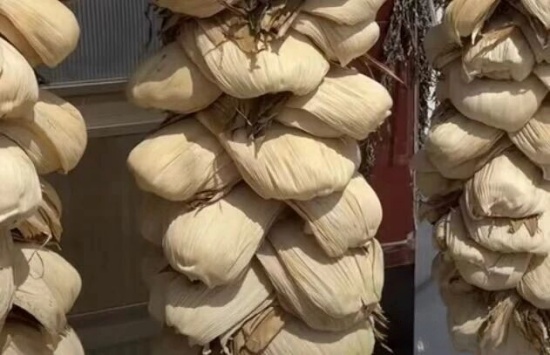 张勇丨苞米皮（随笔二则）