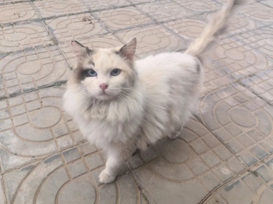 李言谙丨酒窝逻辑（微小说二则）