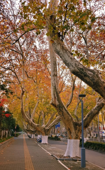 韩嘉川丨秋虫滋味