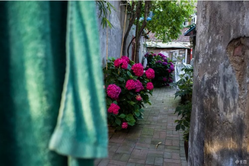 王音丨悟道（六首）