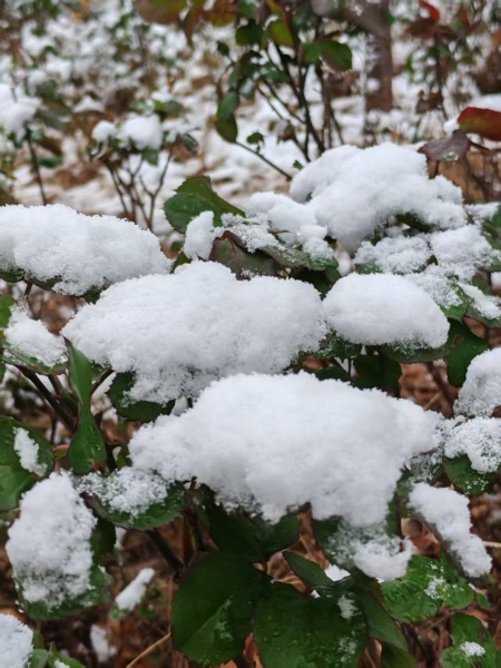 点击查看原图 微信图片_20260318144213_49_111.jpg